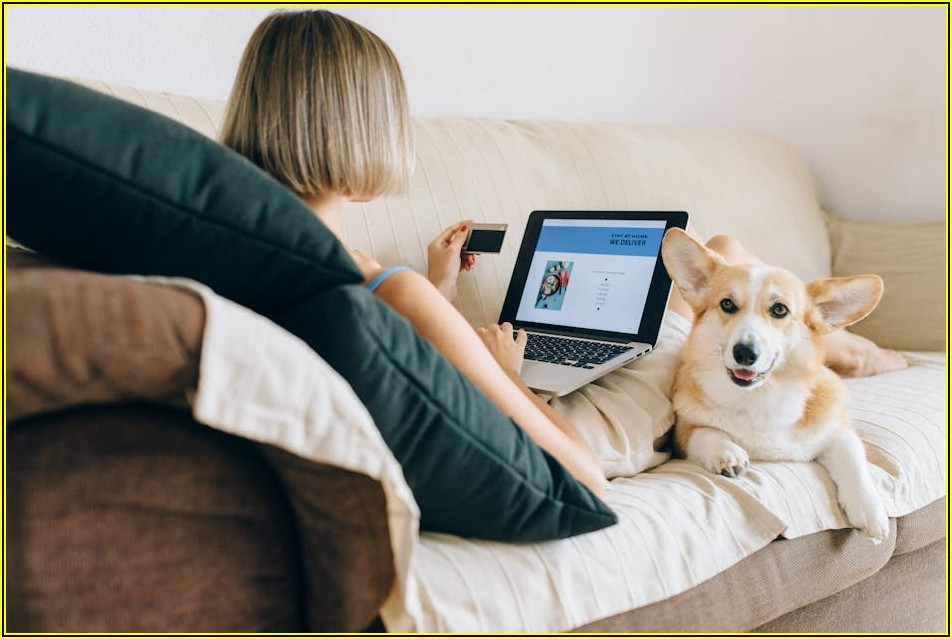 태안 이안즈펫, 댕댕이와 함께하는 완벽 여행 계획