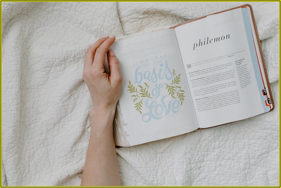 유학 컨설팅, 뉴질랜드 꿈 실현의 지름길