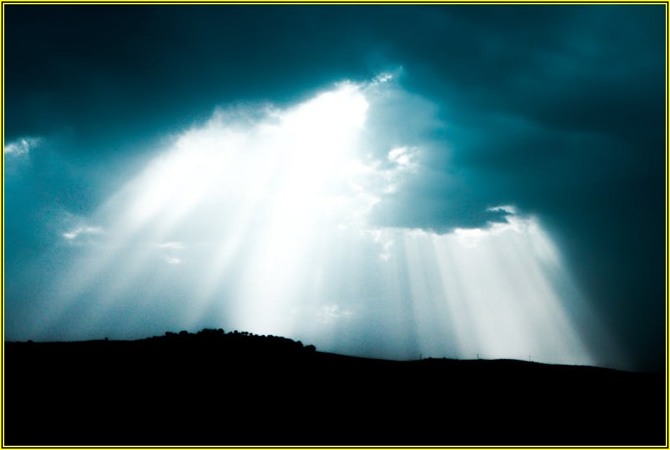 주식 투자자를 위한 세금 절약 비법: 가지급금, 배당, 감자 활용법