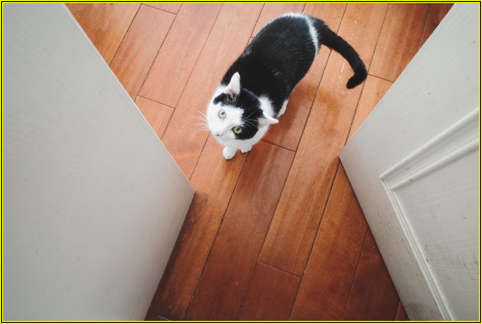 문콕 스트레스 끝! 필름 시공 전문가와 셀프 방법을 비교한다