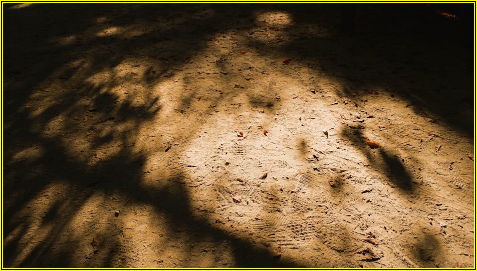 서울의 밤, 여의도 야경 명소 완벽 가이드