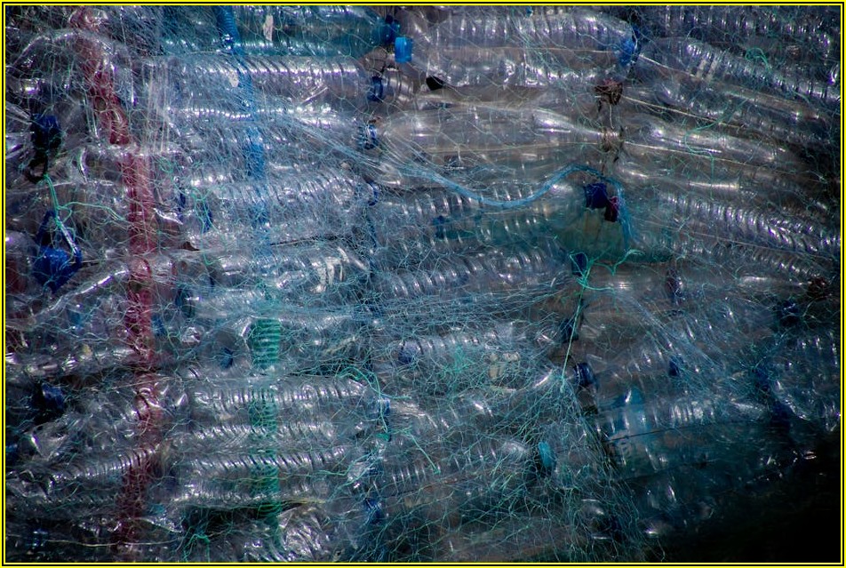 쓰레기차 운행부터 관리까지, 환경 보호 정보 완벽 가이드