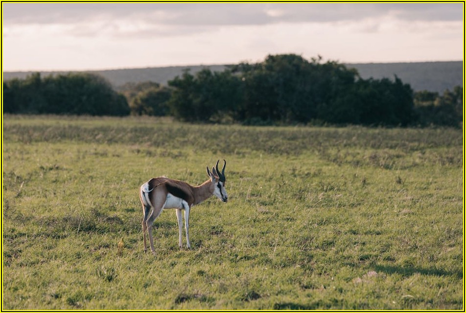 무료 홈페이지 제작, SEO와 마케팅으로 성공하는 법