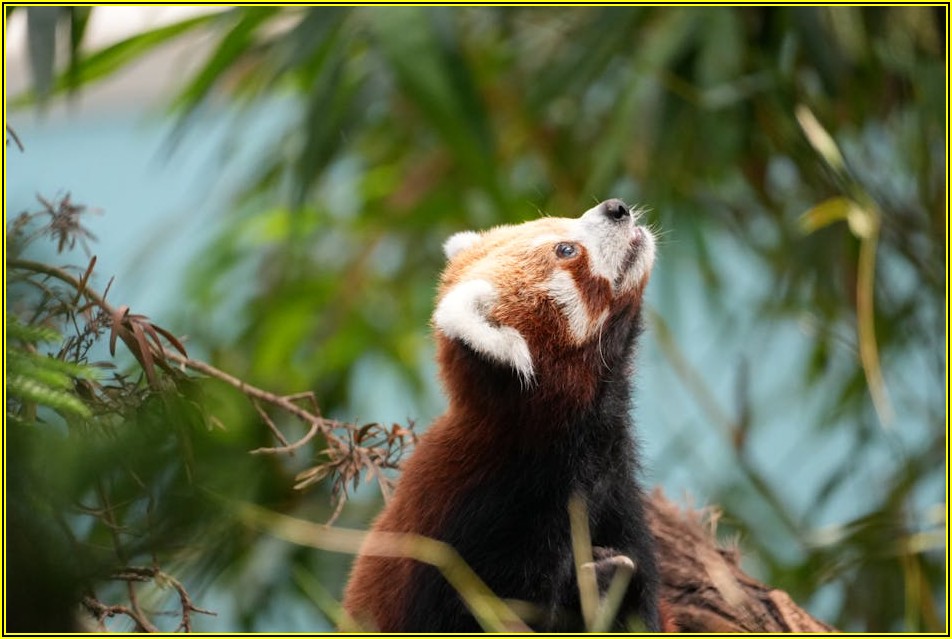 우리 집 보안 강화, 실외 CCTV 비교 분석