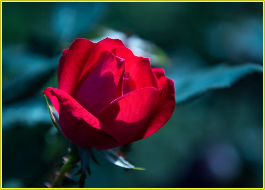 웨딩토탈샵, 결혼 준비 막막하다면 여기를 주목하세요