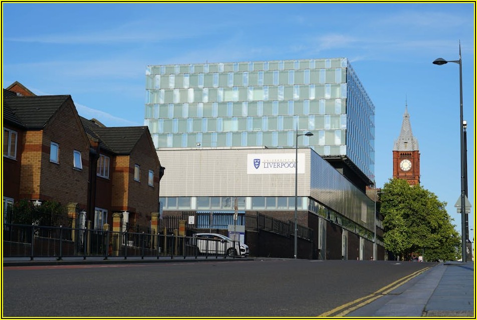 영어 공부 슬럼프? 동기 부여로 끝까지 해보세요