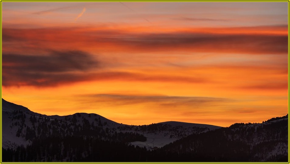 다채로운 숲 그림 표현, 나만의 예술 스타일 구축