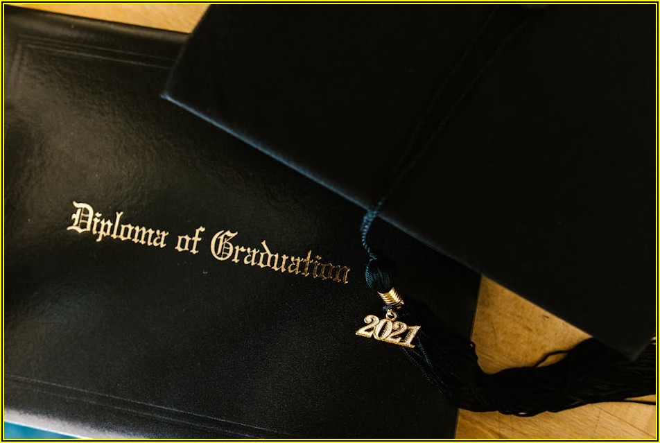 호주 유학 꿈꾸는 학생을 위한 고등학교 선택 전략