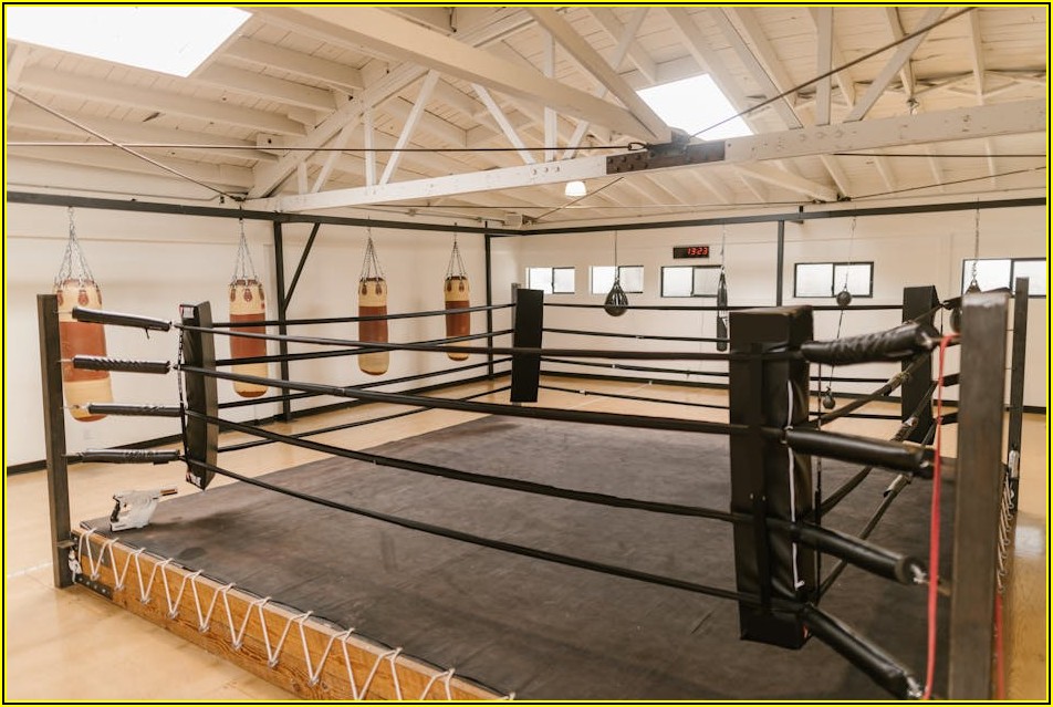 최고의 복서 되기 위한 훈련 자세와 팁