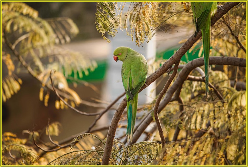 무료 캐드, 당신의 프로젝트를 완성할 기능 비교 총정리