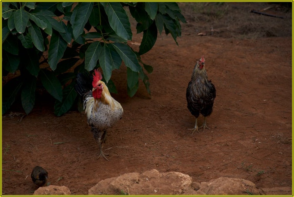 나만의 취향 반영! 자개 책갈피 제작 가이드