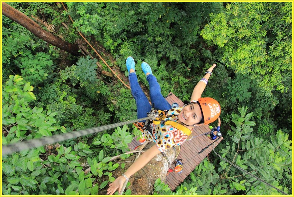 처마 캐노피, 공간 활용도를 높이는 다채로운 디자인