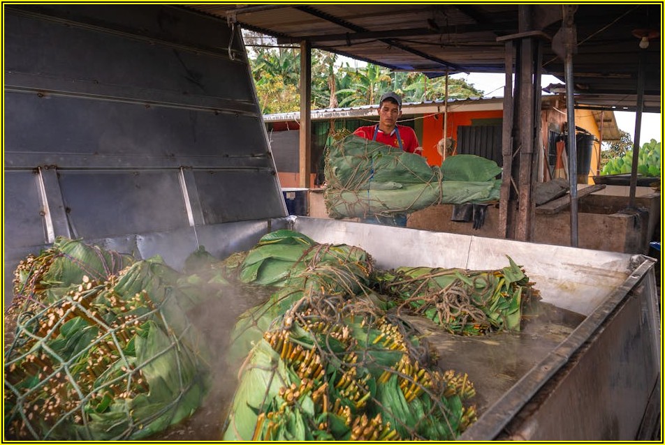 생산성 UP! 반자동 랩핑기 적용 사례 집중 분석