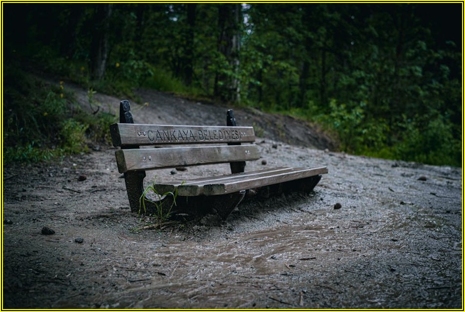 부실 채권, 배드뱅크가 어떻게 관리할까?