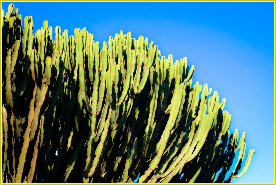 탄자니아 여행, 비자 문제없이 즐기는 방법