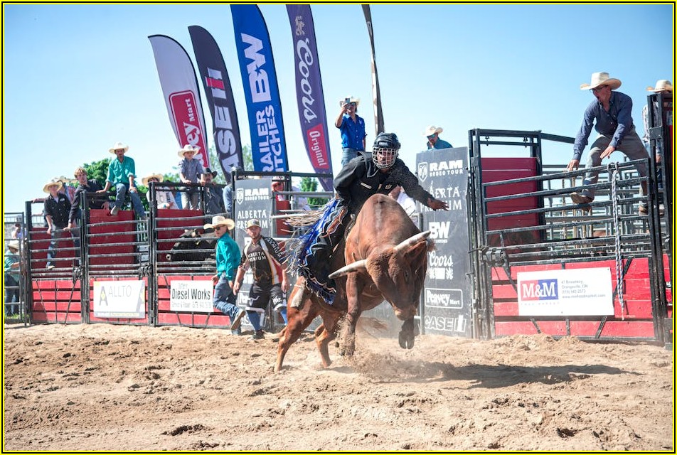 생활 속 법률 갈등, 대서방에서 현명하게 해결하세요