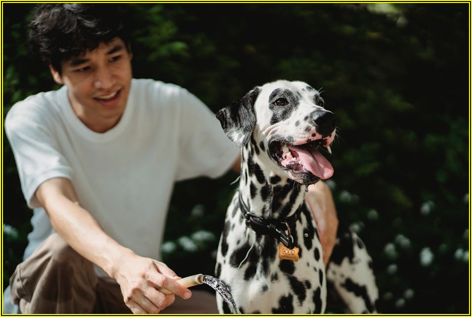 LPG 호스, 안전 검사 주기 완벽 가이드