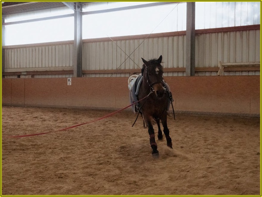 취업&middot;이직 꿈꾼다면? 내일배움카드 국비지원 혜택 놓치지 마세요