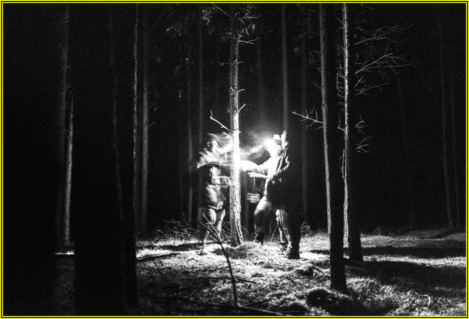 용달 이사 비용, 숨겨진 꿀팁으로 완벽 분석