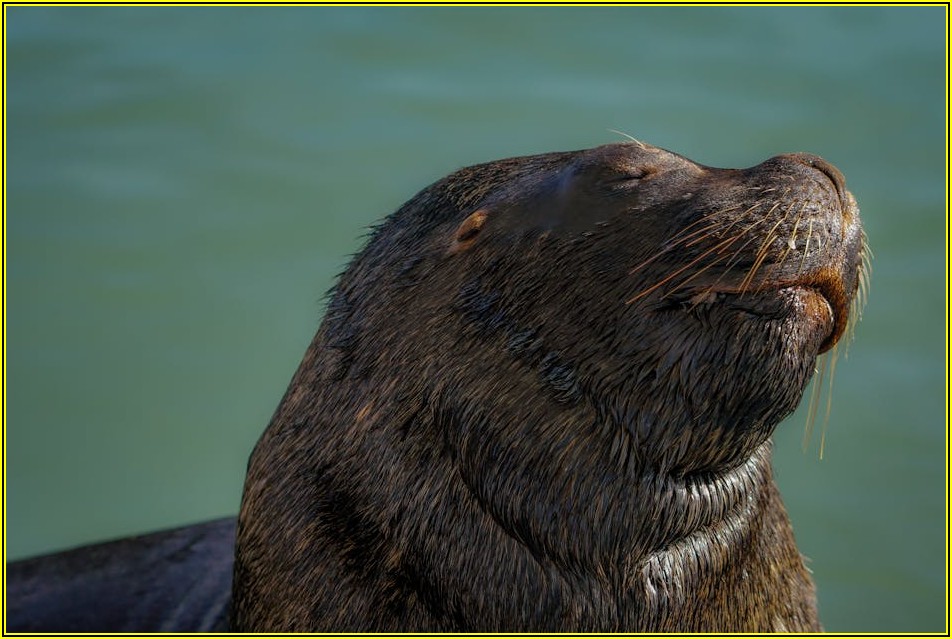외국인이라면 꼭 알아야 할 인감도장 분실 대처법