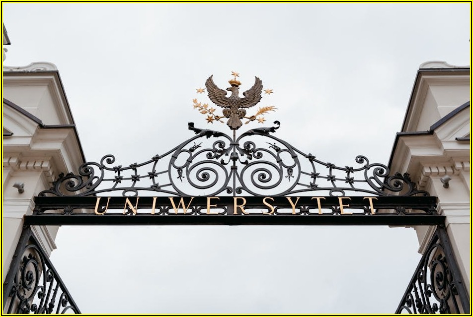 당신의 풍짱 버스 여행, 궁금증 완벽 해결 가이드