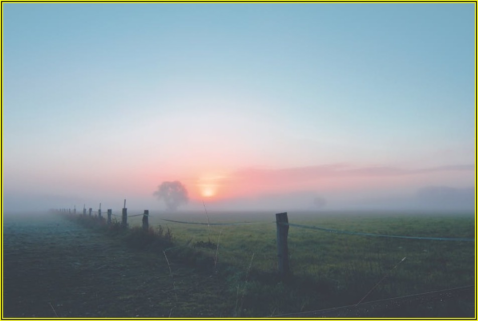 A형 휀스 직접 설치, 쉬운 DIY 방법 총정리