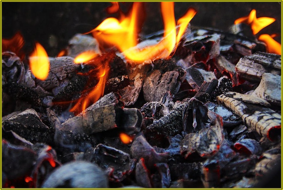 이산화탄소 소화설비, 화재 현장에서 살아남는 법