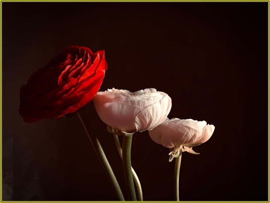 잊지 못할 전역 선물, 특별한 아이템 찾기