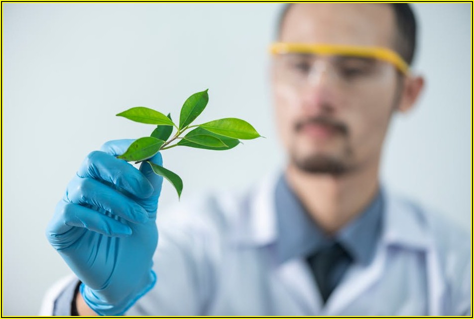 고사장 시험 스트레스, 심리 안정 팁으로 극복하기