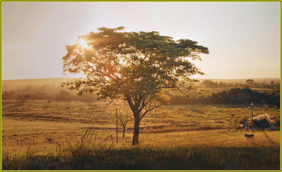 땅 매매 사기 안 당하는 법, 토지 거래 필수 체크리스트