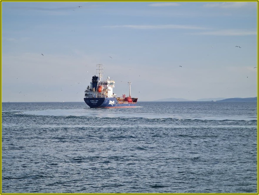 대량 택배, 송장 출력 오류 줄이고 시간 절약하는 법