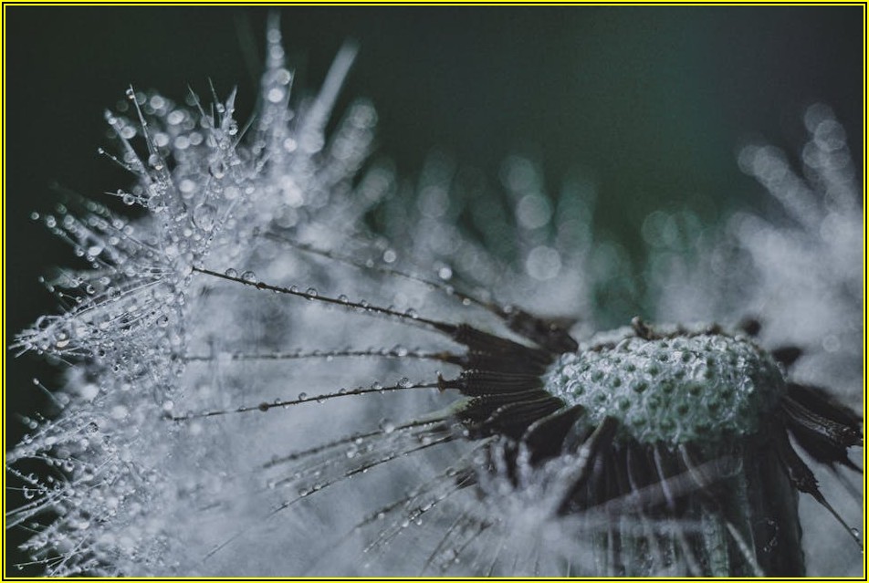 아트페어의 중심, 프리즈 서울과 미술 시장 분석