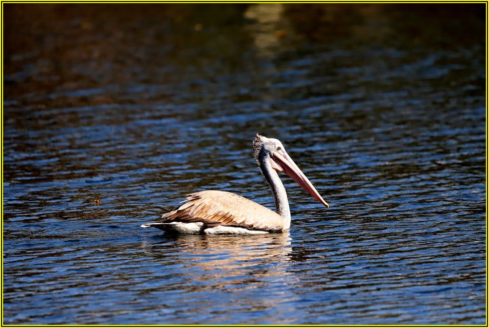 일위대가표 A to Z: 업무 능률 UP 프로젝트