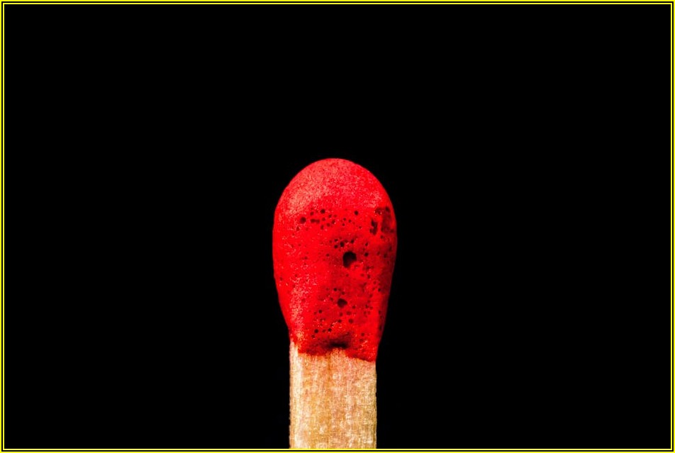 바커 케미칼 기술 혁신, 미래를 선도하다