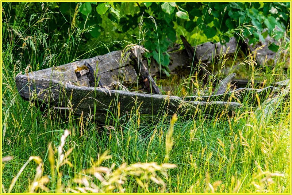 생기 넘치는 천연 잔디밭, 조성 및 관리 핵심 정보