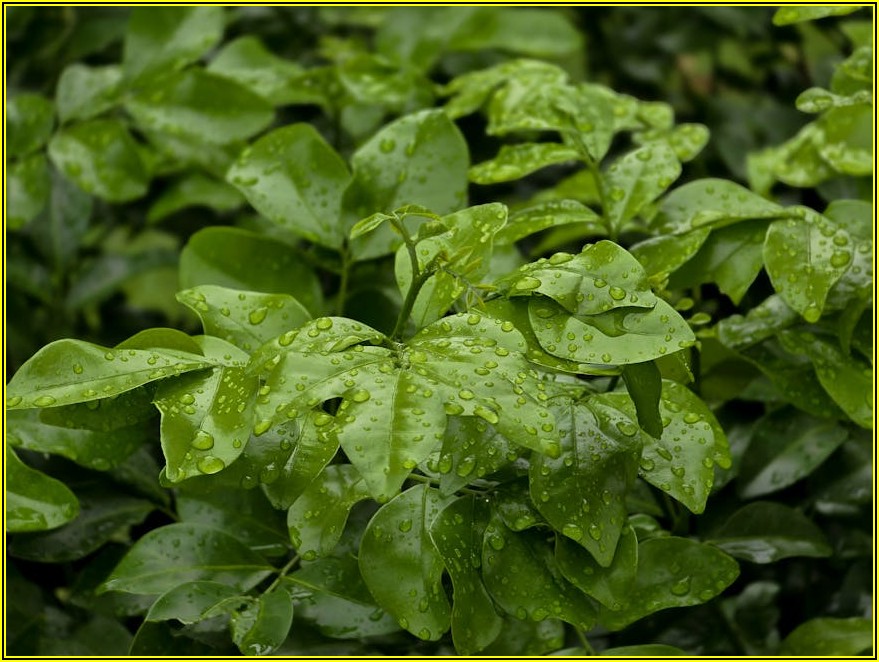 당신의 스토리를 담는 자소서 제목 작성 가이드