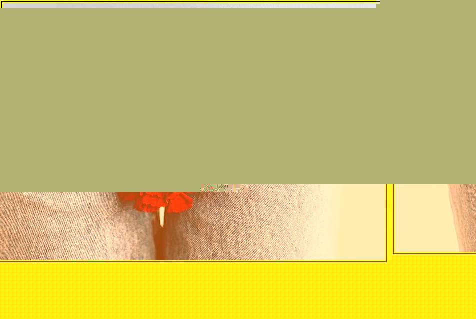 흰색 부직포, DIY부터 포장까지 다 되는 만능 재료