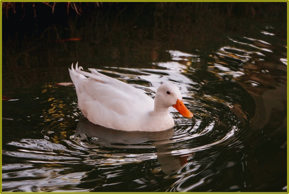 최저가 벽간판 제작? 가격 비교부터 성공하는 법