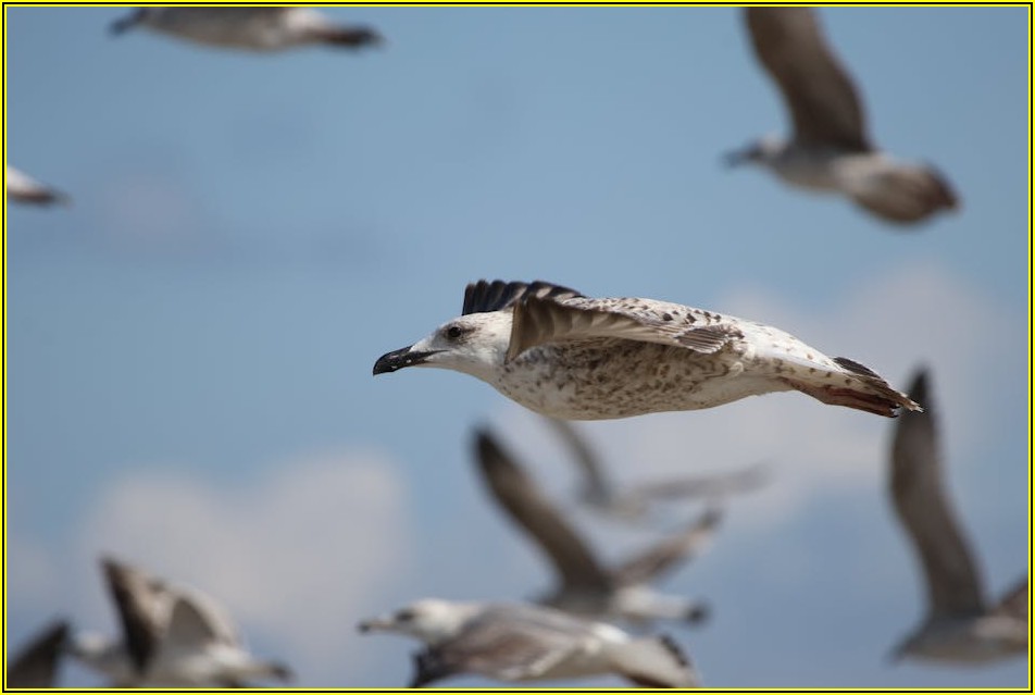 성공적인 인스타 공구, 사례 분석을 통한 확실한 벤치마킹 가이드