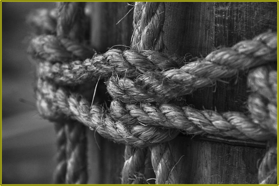 효과적인 항고장 작성, 전문가가 알려주는 꿀팁