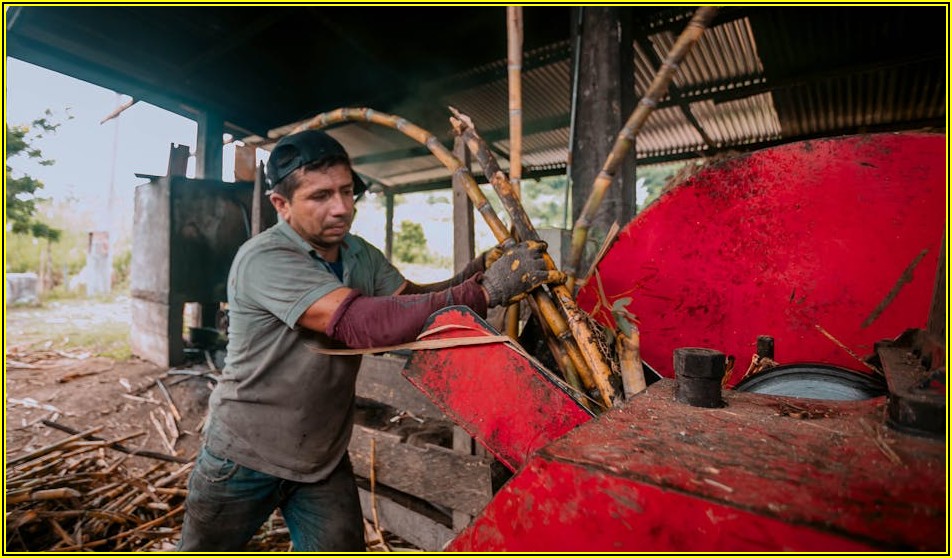 농지 보전과 농림지역 토지 이용, 알아야 할 모든 것