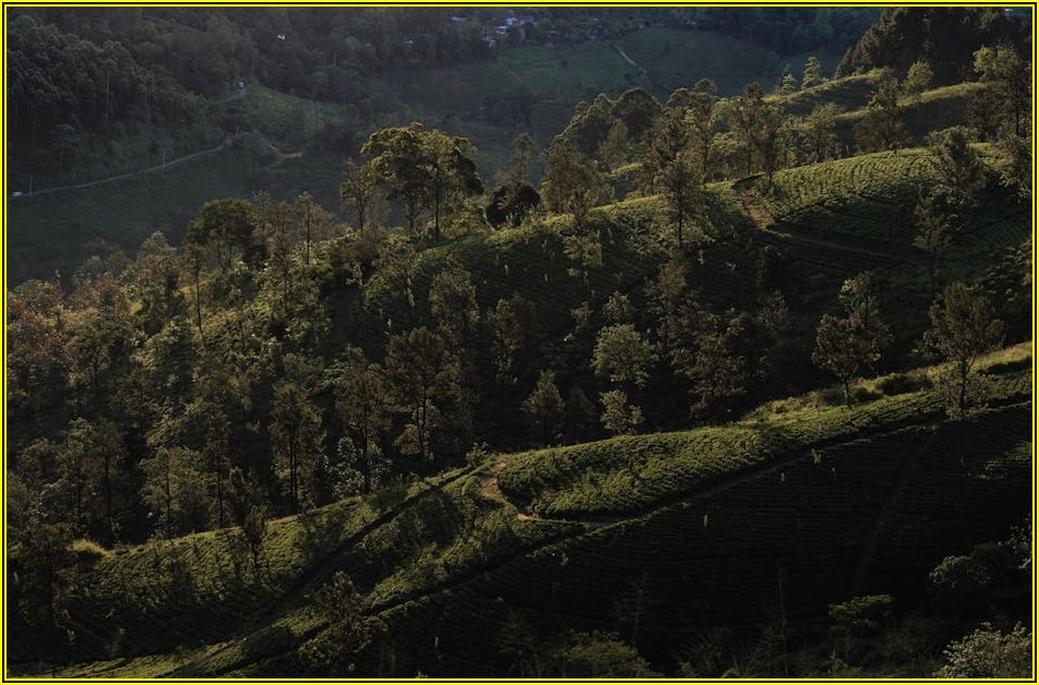 농림지역 토지 이용, 농지 보전 의무와 활용 전략