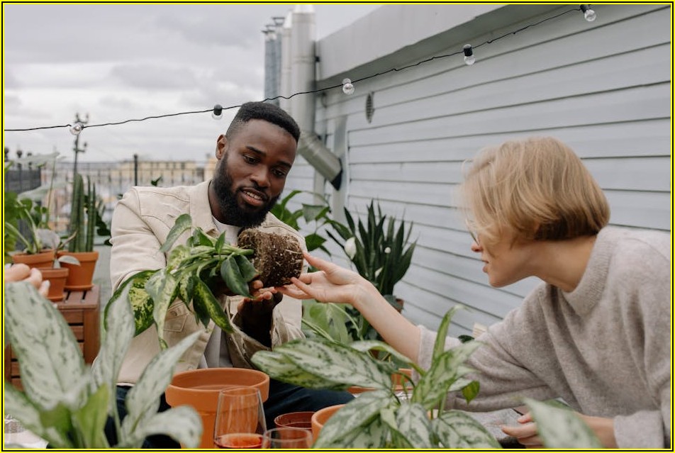 매력적인 옥상 테라스, 방수 관리로 누수 완벽 차단