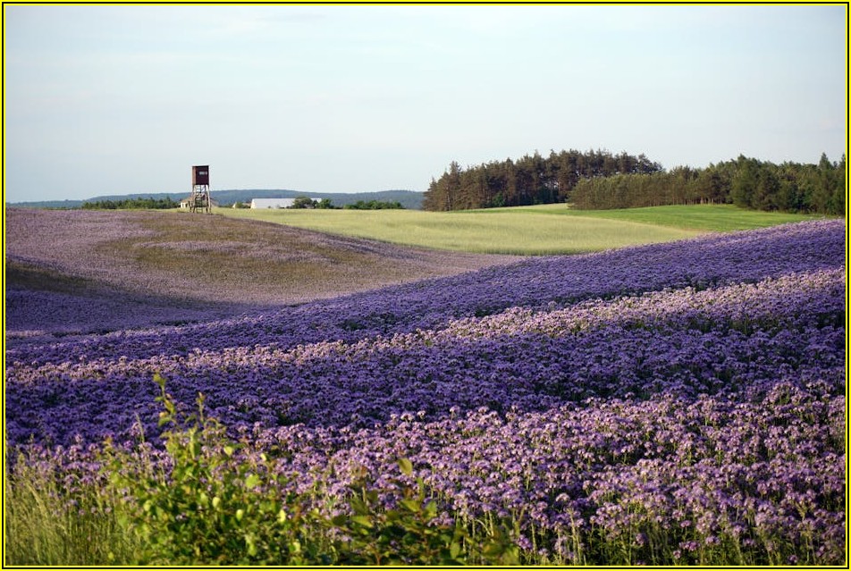 나만의 특별한 여행, 해요랑에서 경험 공유하고 팁 얻어가세요