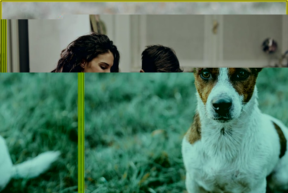 LG 스마트 TV 문제 발생! 전문가처럼 해결하는 고장/오류 대처법