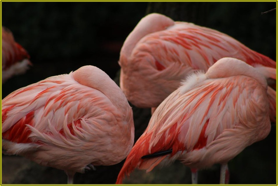 체험단 활동으로 나만의 꿀템 찾는 비법