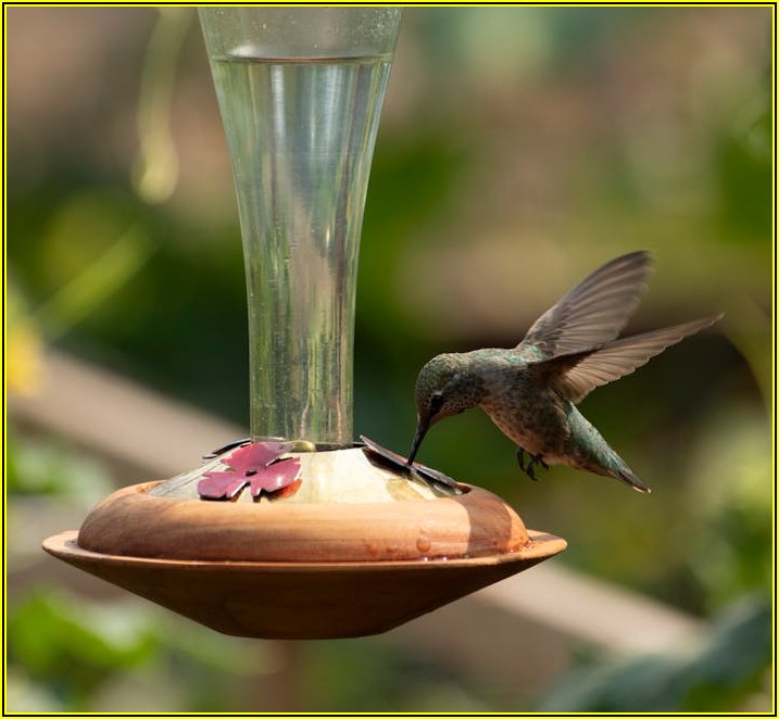 반려견 사료 종류별 효능: 건강 맞춤 솔루션 제공