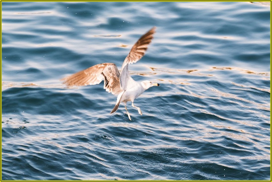 5톤 윙바디 중고차 가격, 시세와 구매 가이드 완벽 분석