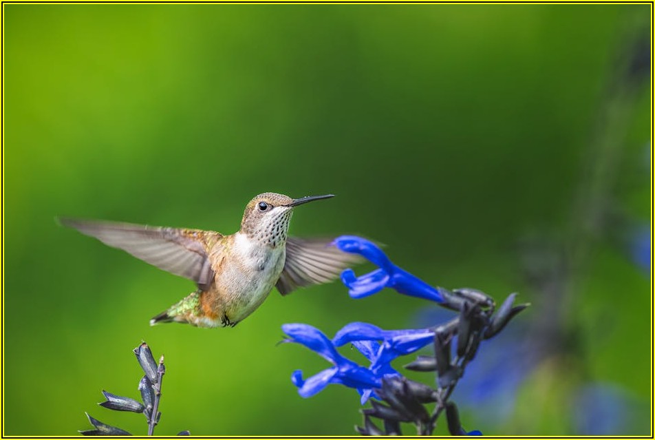 중고 5톤 윙바디 구매, 가격 절감 노하우 총정리