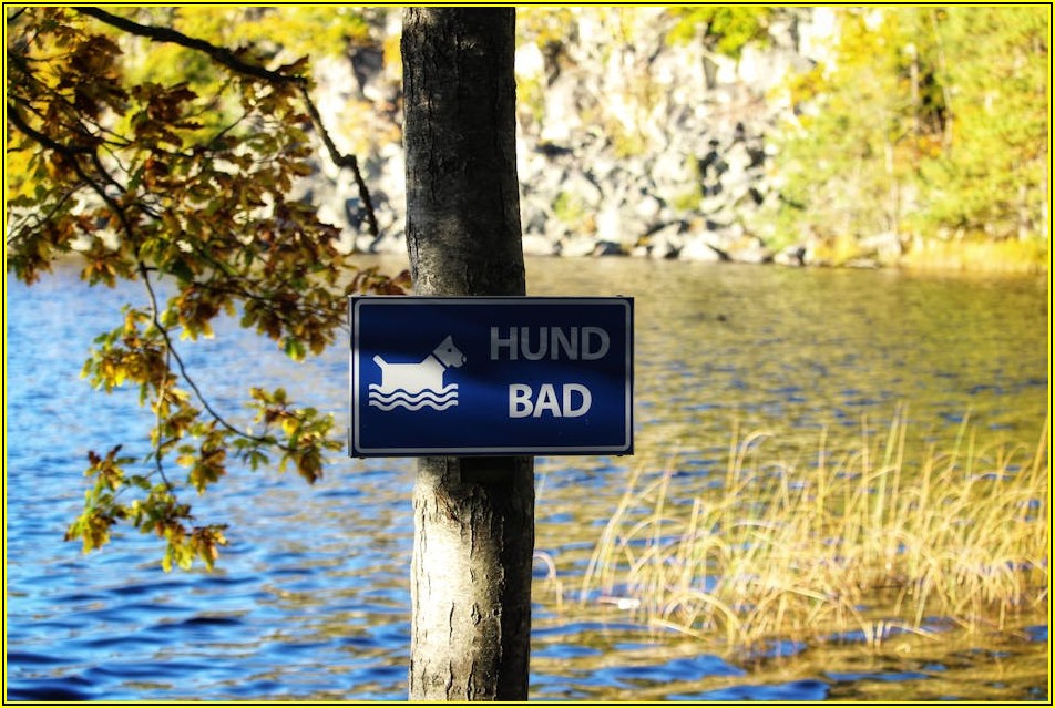 예쁜 원형 간판, 규제 안 걸리는 설치 방법